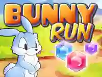 Joc Bunny Run on-line
