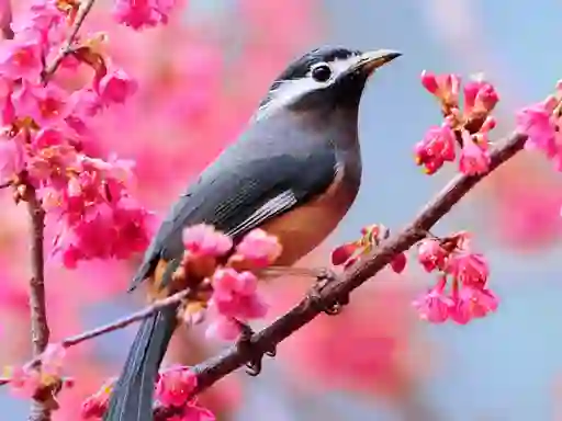 Joc Lovable Birds on-line