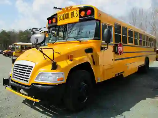 Joc School Buses Puzzle on-line