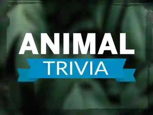 Joc Animal Trivia on-line