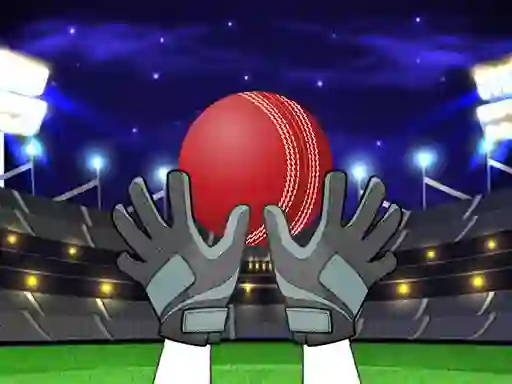 Joc Catch The Balls on-line