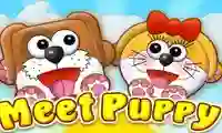 Joc Meet Puppy on-line