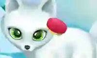 Joc Paws to Beauty Arctic Edition on-line