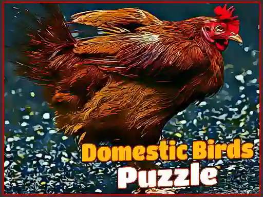 Joc Domestic Birds Puzzle on-line