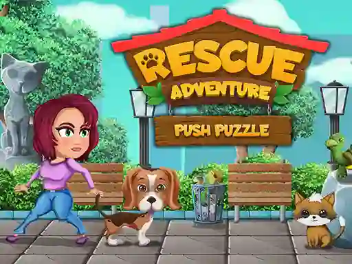 Joc Rescue Adventure Push Puzzle on-line