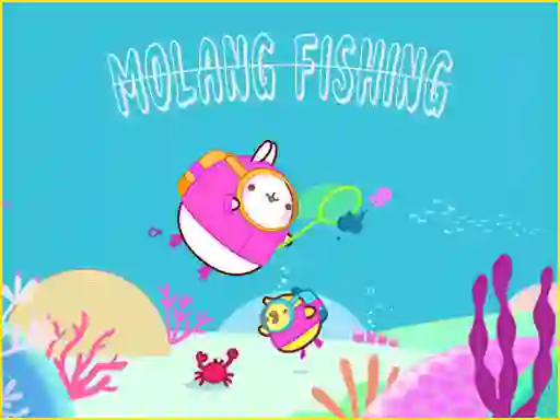 Joc Molang on-line