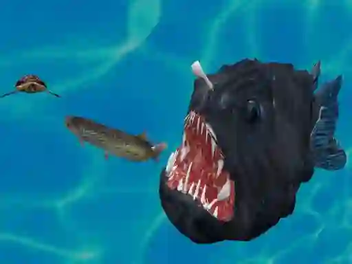 Joc Fish 3d on-line