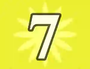 Joc Number 7 on-line