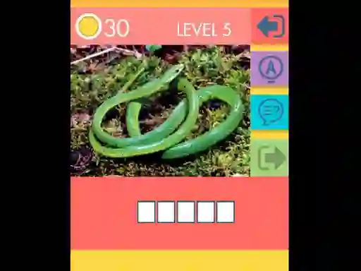 Joc 15 Picture Quiz on-line