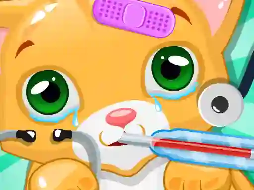 Joc Kitty Doctor on-line