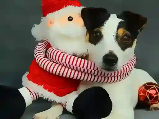 Joc Funny Christmas Dogs on-line