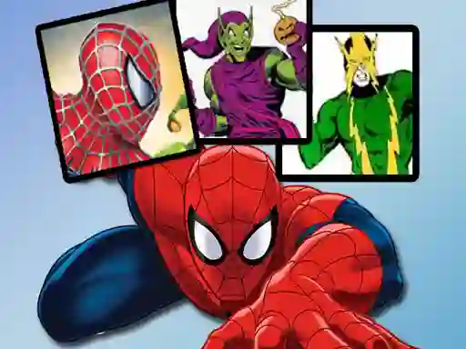 Joc Spiderman Match Cards on-line