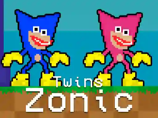 Joc Twins Zonic on-line