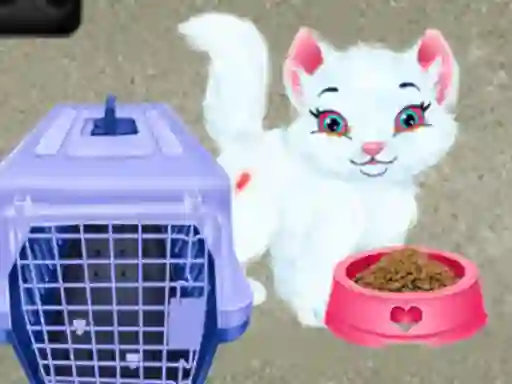 Joc Baby Taylor Pet Care on-line