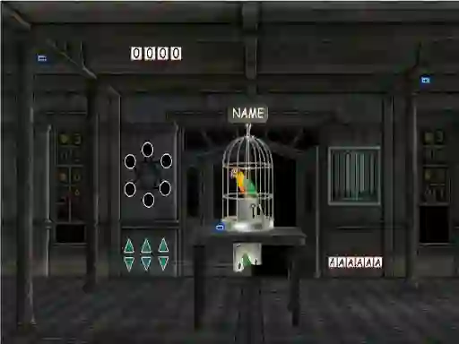 Joc Parrots Escape on-line