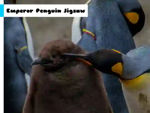 Joc Emperor Penguin Jigsaw on-line