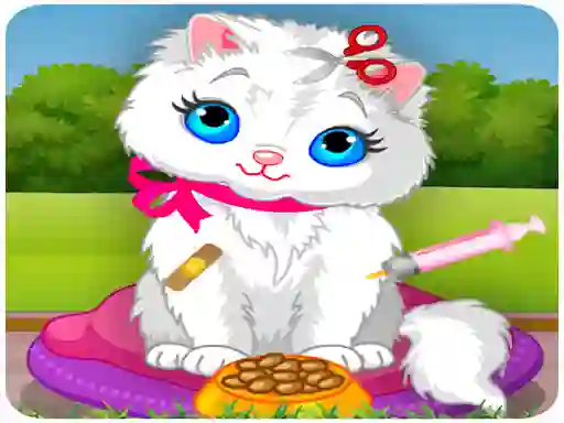 Joc Vet Cat Clinic on-line