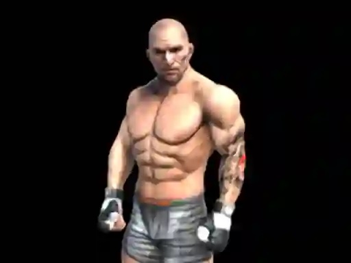 Joc Fight Arena Online on-line
