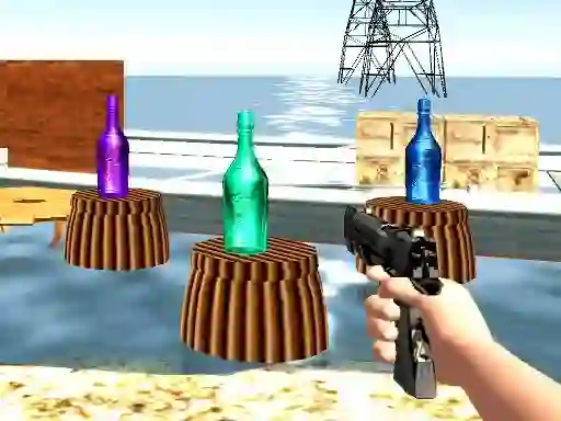 Joc Bottle Shooter games on-line