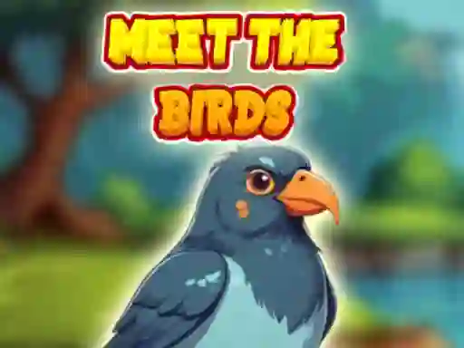 Joc Meet The Birds on-line
