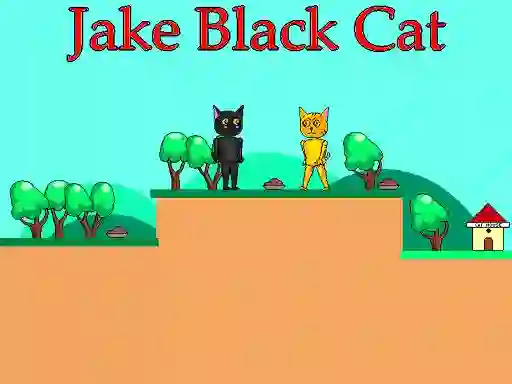 Joc Jake Black Cat on-line