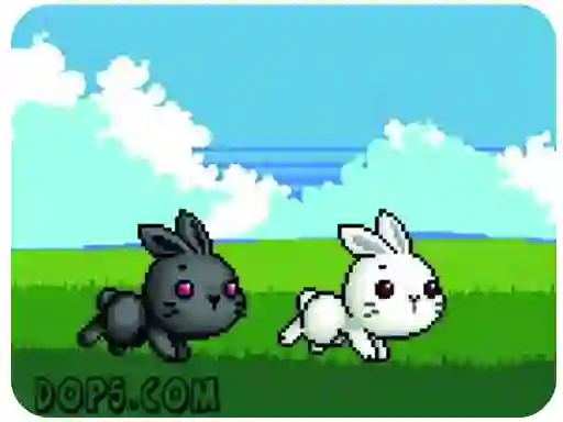 Joc Cute Rabbit on-line
