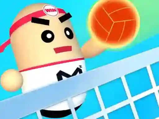 Joc 3D Amazing VolleyBall on-line