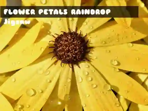 Joc Flower Petals Raindrop Jigsaw on-line