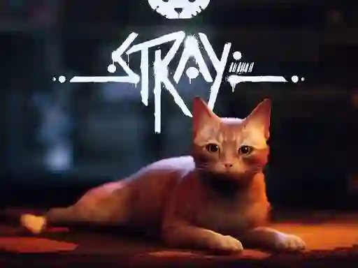 Joc Stray on-line
