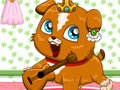 Joc Ruleta pentru animale de companie  on-line