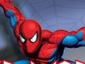 Joc Spider Warrior on-line