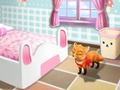 Joc Mici Fox orândui Camera  on-line