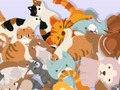 Joc Găsește-o pe Kitty  on-line
