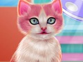 Joc Kitty Dental Care  on-line