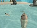 Joc Shark Simulator Plajă Killer  on-line