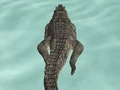 Joc Crocodil Simulator Beach Hunt  on-line