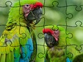 Joc Pădure tropicală puzzle -jigsaw on-line