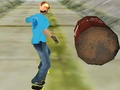 Joc Skater uimitor 3D on-line