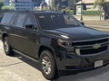 Joc Chevrolet Diferențe Suburbane  on-line