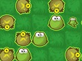 Joc Frog Rush on-line