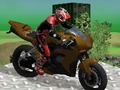 Joc Procesele de biciclete: Wasteland  on-line
