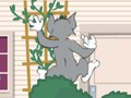 Joc Tom și Jerry: Wasserbomben Wahnsinn  on-line