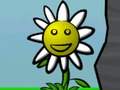 Joc Puterea florii  on-line