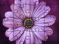 Joc Puzzle -ul jigsaw vara on-line