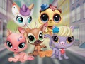 Joc Micul magazin de animale de companie: Ascunselea  on-line