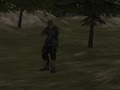 Joc Agenția FPS: Forest  on-line