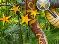 Joc Jungle ascunse stele  on-line