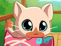 Joc Pisicuta mea pentru animale de companie Kitty Cat  on-line