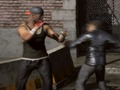 Joc Raging Punch 3D on-line