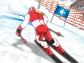 Joc Sporturi de iarnă: Slalom Hero  on-line